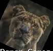 User Profile User Avatar